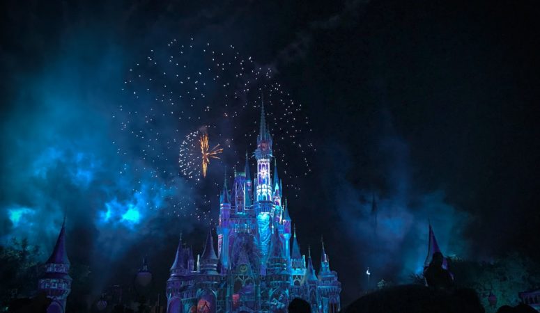 Top Tips for Planning The Ultimate Disney World Vacation On A Budget